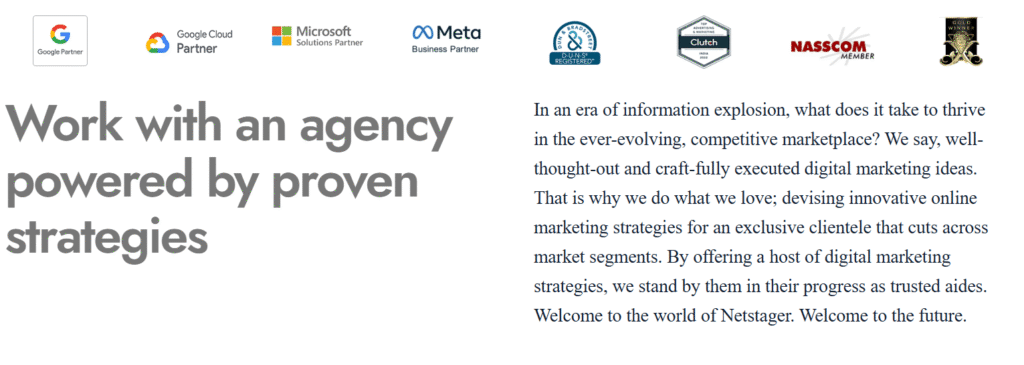 Netstager Agency Website Clone – Freelance ProjectNetstager Agency Website Clone – Freelance Project 2